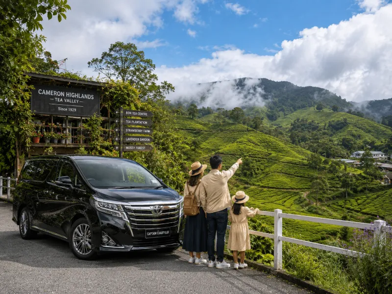 Cameron Highlands Custom Private Tour Malaysia